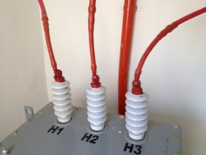 IMG 0904 (1)    